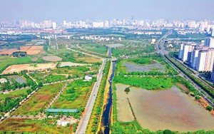 51 2