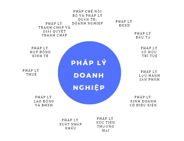 Cac van de phap ly doanh nghiep hay gap phai khi hoat dong kinh doanh