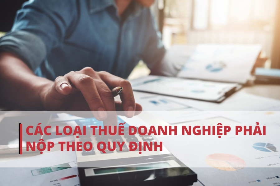cac loai thue doanh nghiep phai nop theo quy dinh 1
