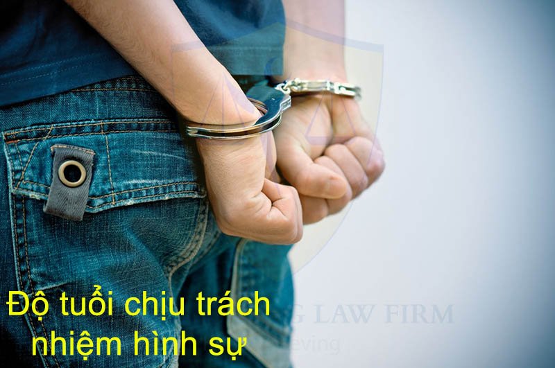 do tuoi chiu trach nhiem hinh su 15