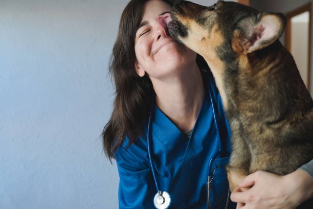 istockphoto 1422746936 612x612 1