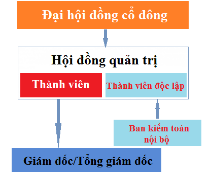 mo hinh moi pho bien cua cong ty co phan