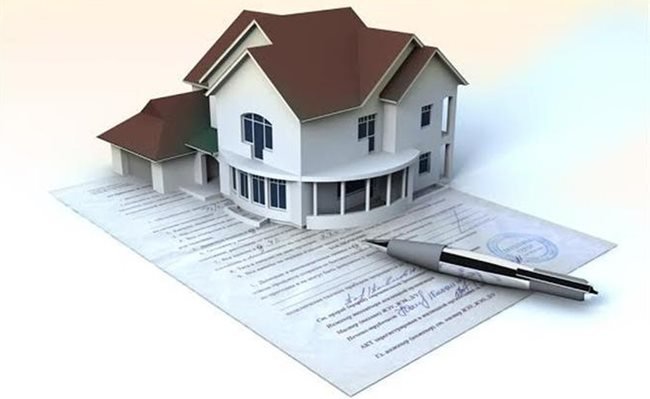 113231029